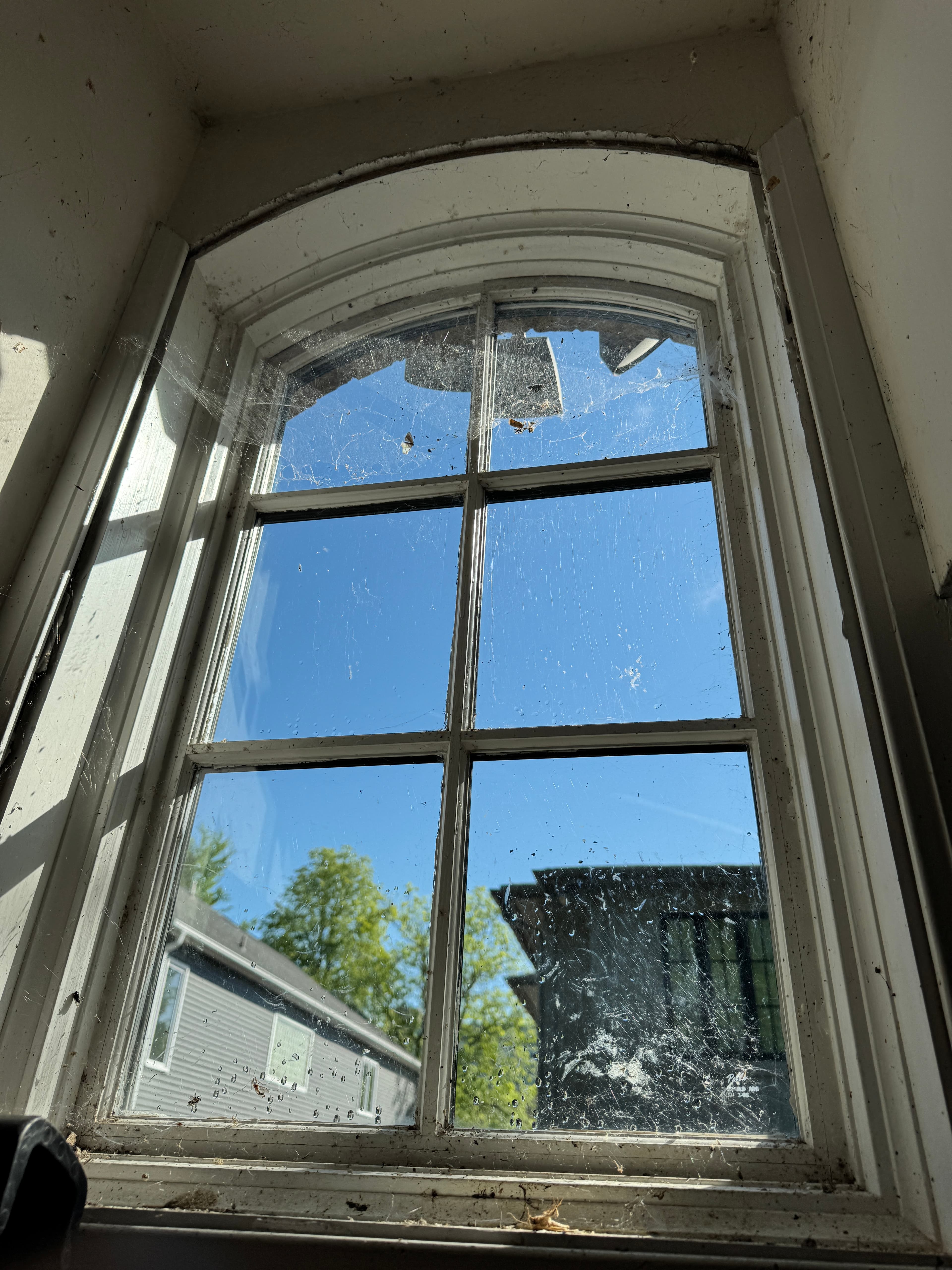 A dirty, cobwebbed window before cleaning